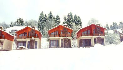 ვილა მთაში_5